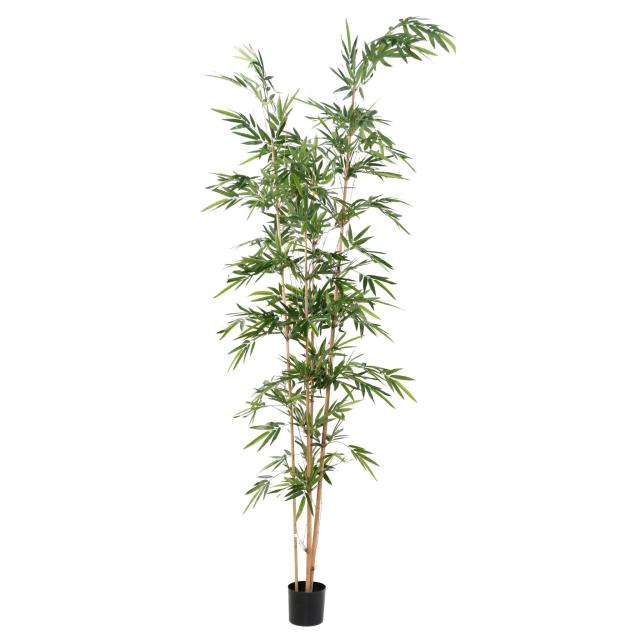 Bambou Artificiel Assymetrique - Bambous Artificiels