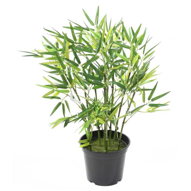 Bambou Artificiel TV - Bambous Artificiels