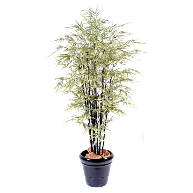 Bambou Artificiel Black Shiroshima Large - Bambous Artificiels