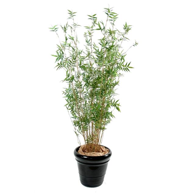 Bambou Artificiel Multitree Oriental - Bambous Artificiels