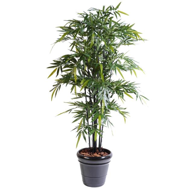 Bambou Artificiel Black Natural NC - Bambous Artificiels