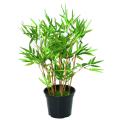 Bambou artificiel TC