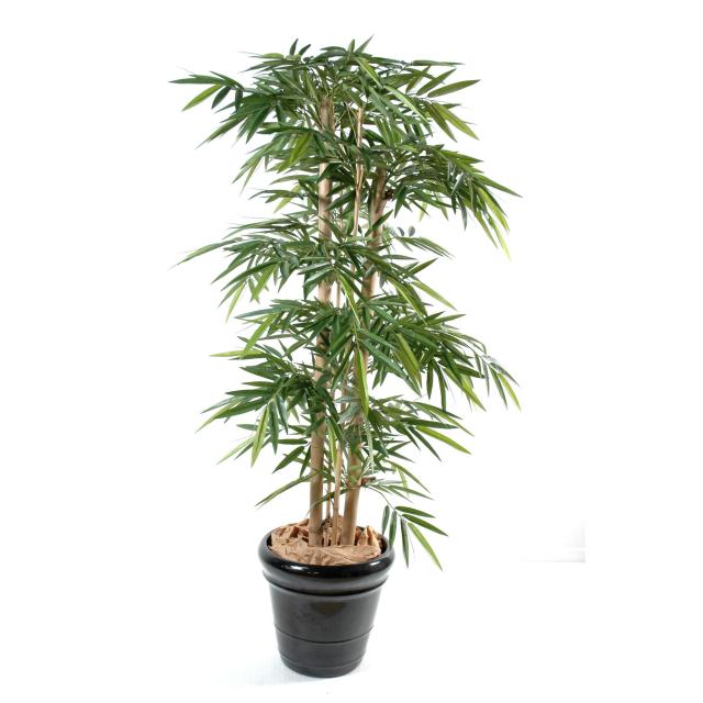 Bambou Artificiel NEW Grosses Cannes - Bambous Artificiels