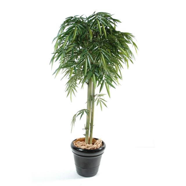 Bambou Artificiel NEW Tete 3tr - Bambous Artificiels
