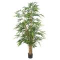 BAMBOU BUDDHA TREE