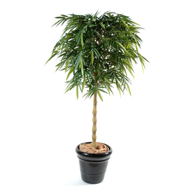 Bambou Artificiel NEW Bouddha - Bambous Artificiels